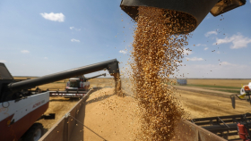 В России собрали полтора миллиона тонн зерна